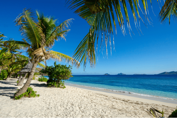 animaux les plus effrayants et dangereux trouvés aux fidji